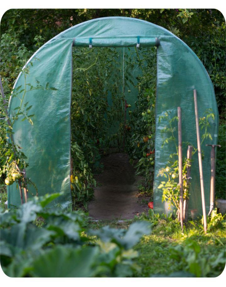 PLONOS TUNEL FOLIOWY OGRODOWY SZKLARNIA 2,5x4m FOLIA 10m2 PROFIL 25 x 0,7mm - obrazek 6