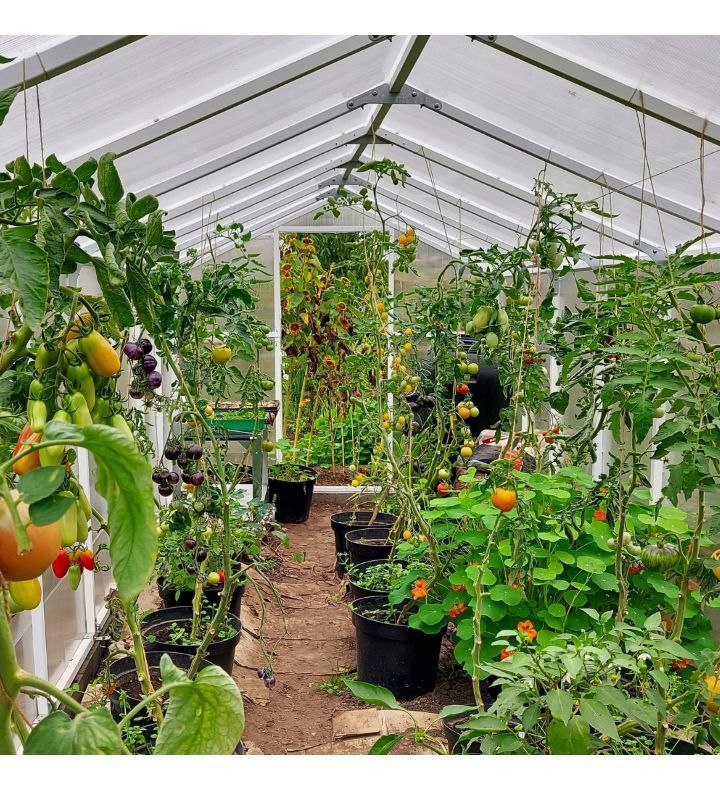 SZKLARNIA OGRODOWA Z POLIWĘGLANU 5,6m2 TUNEL POLIWĘGLANOWY 210X270 PTF - obrazek 8